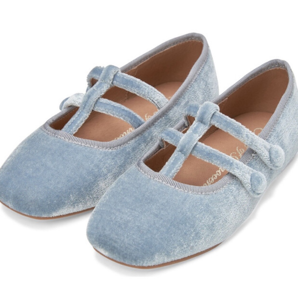 Blue Velvet Mary Jane Flats

Age of Innocence